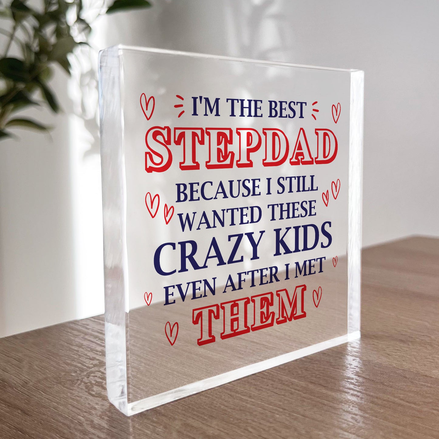 Funny Step Dad Fathers Day Gifts Joke Stepdad Birthday Gift