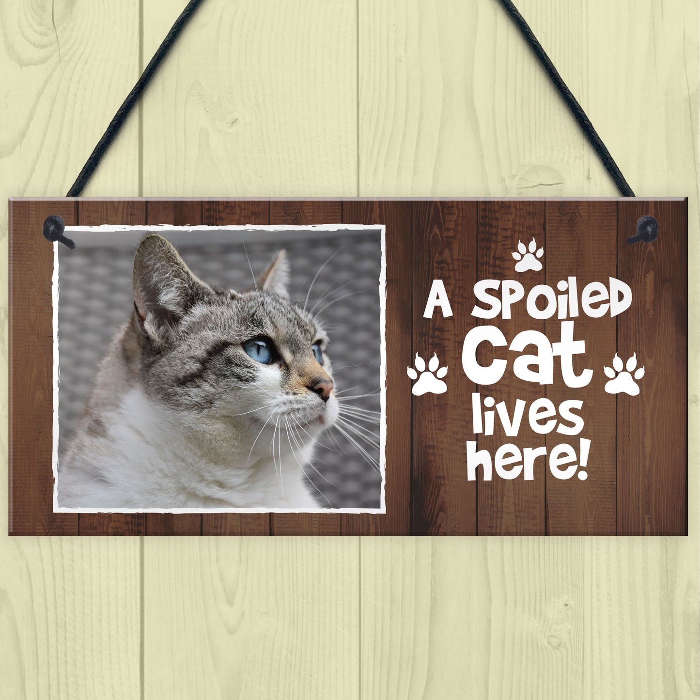 Funny Cat Sign Personalised Cat Signs SPOILED CAT LIVES HERE