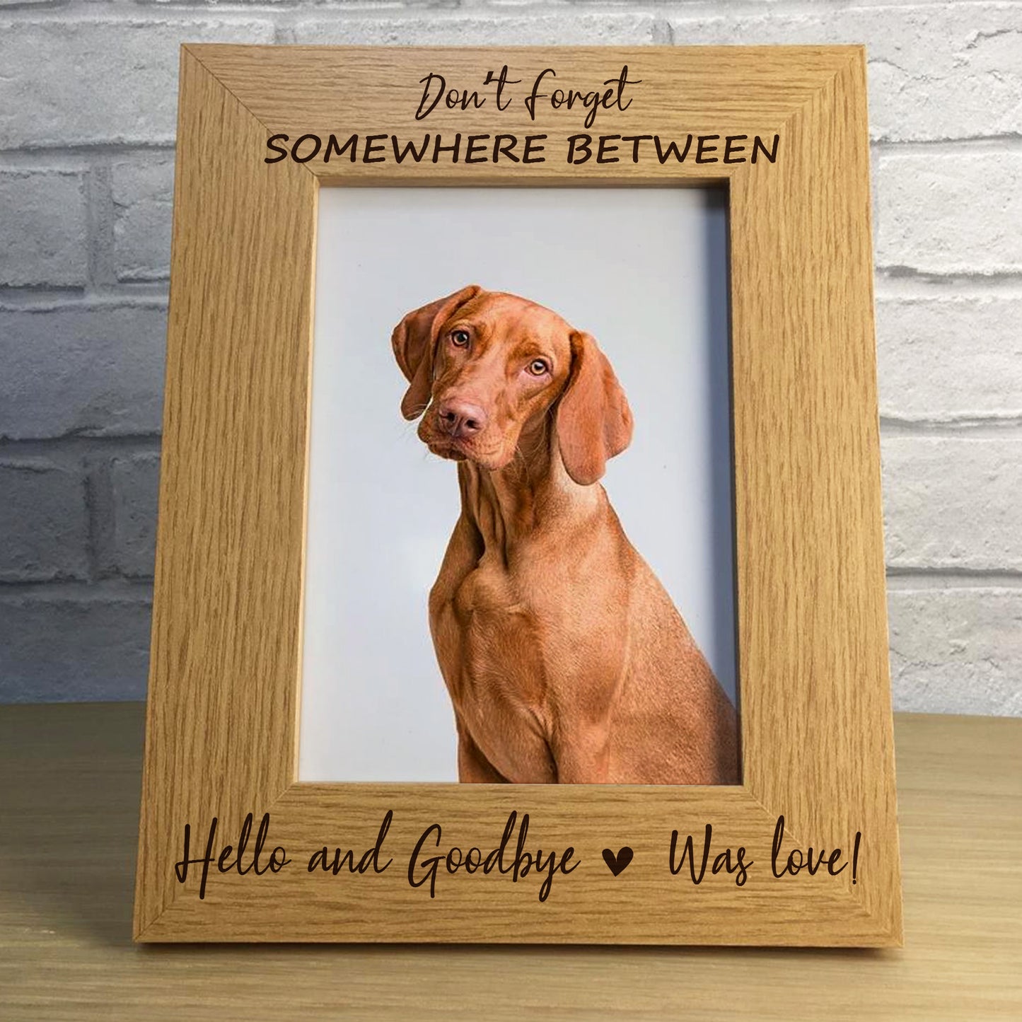 Pet Memorial Picture Frame Dog Cat Memorial Gift Animal Memorial