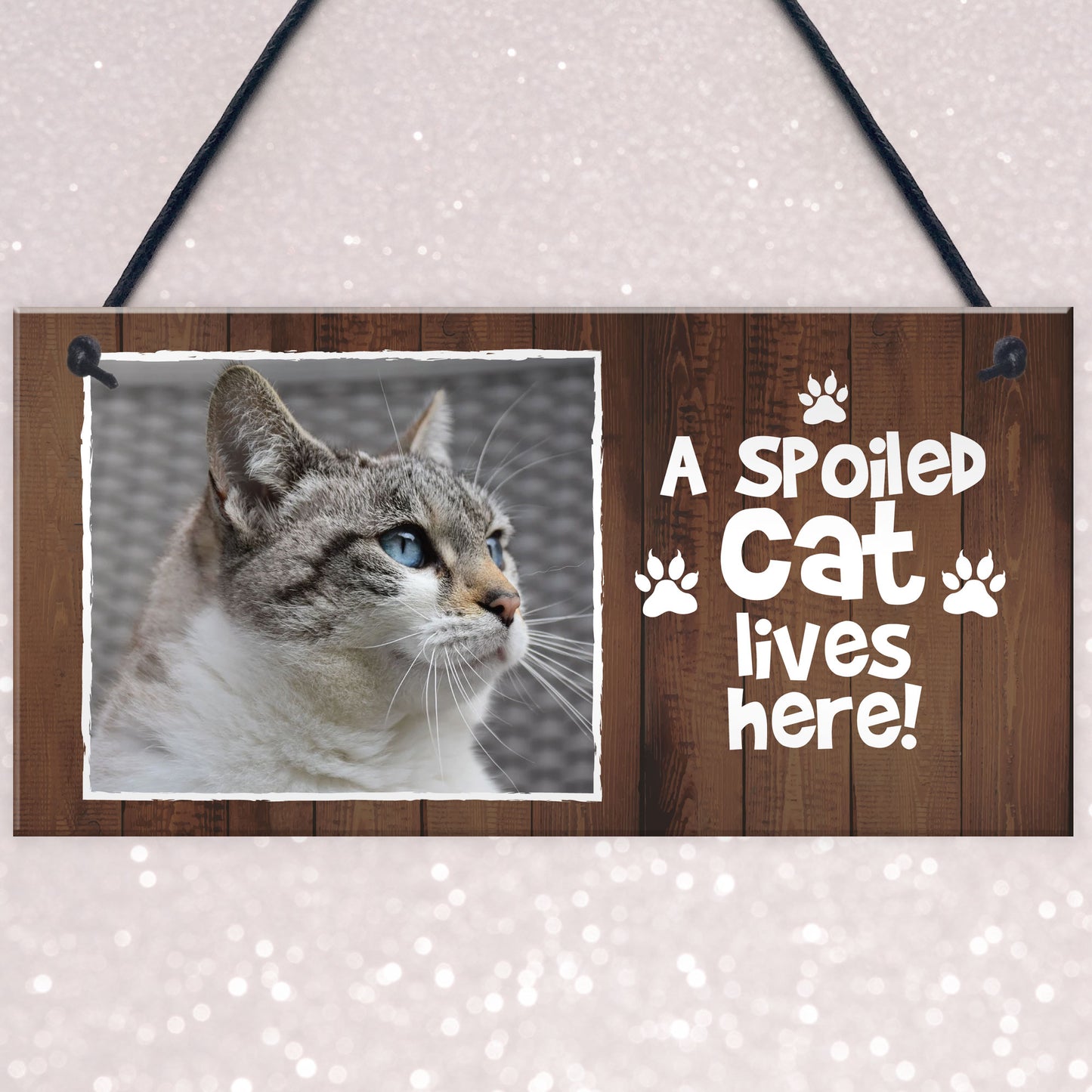 Funny Cat Sign Personalised Cat Signs SPOILED CAT LIVES HERE