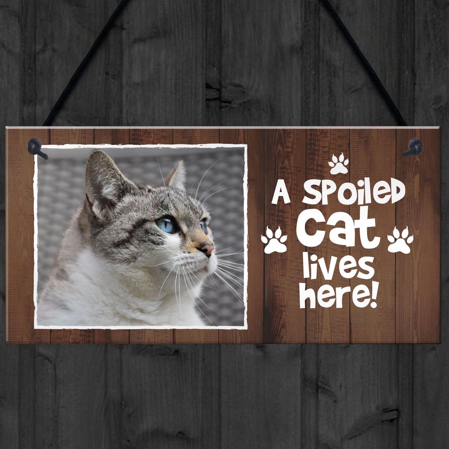 Funny Cat Sign Personalised Cat Signs SPOILED CAT LIVES HERE