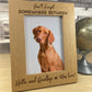 Pet Memorial Picture Frame Dog Cat Memorial Gift Animal Memorial