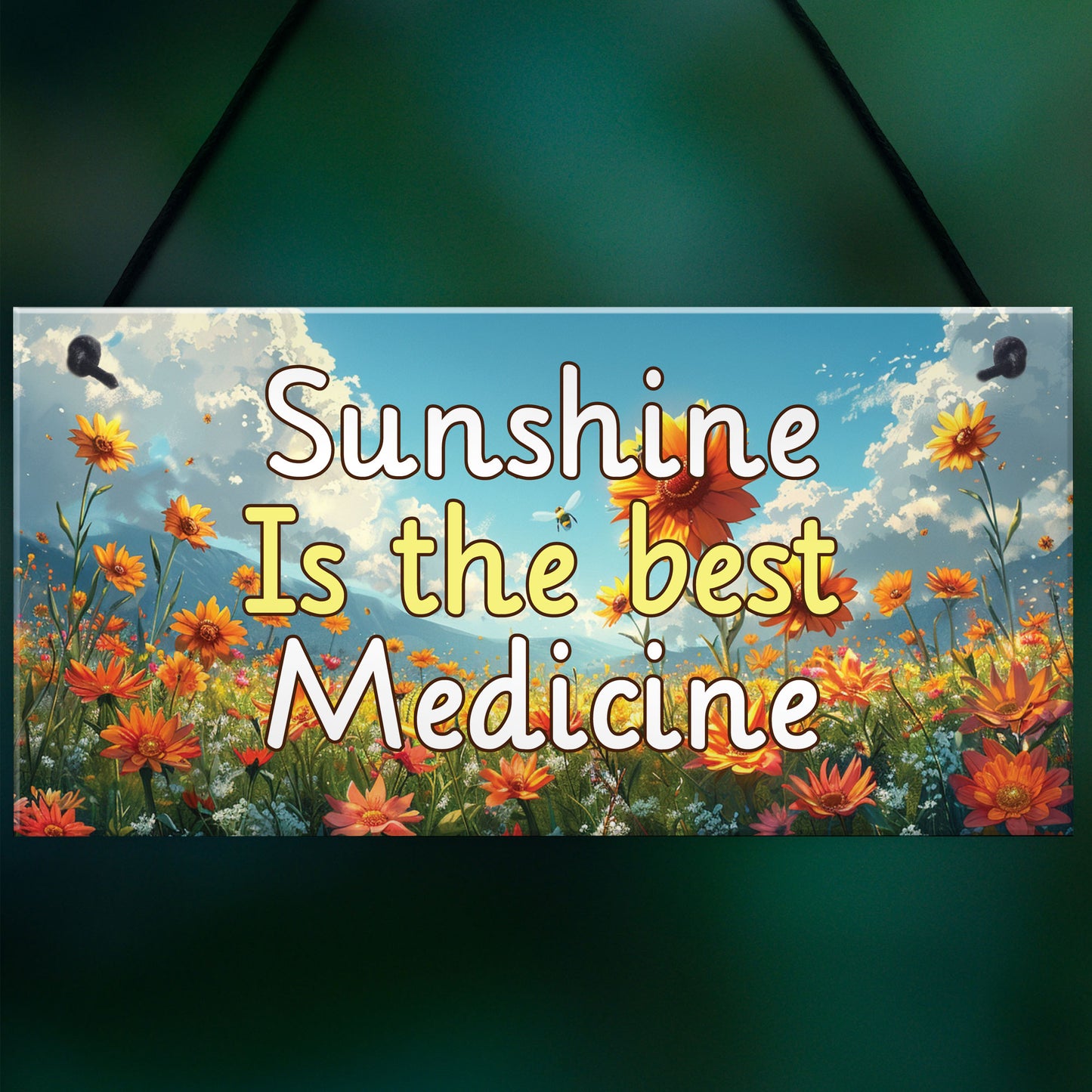 Garden Signs and Plaques For Outside Sunshine Best Medicine