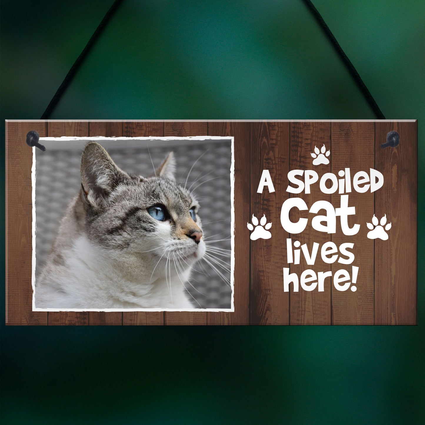 Funny Cat Sign Personalised Cat Signs SPOILED CAT LIVES HERE