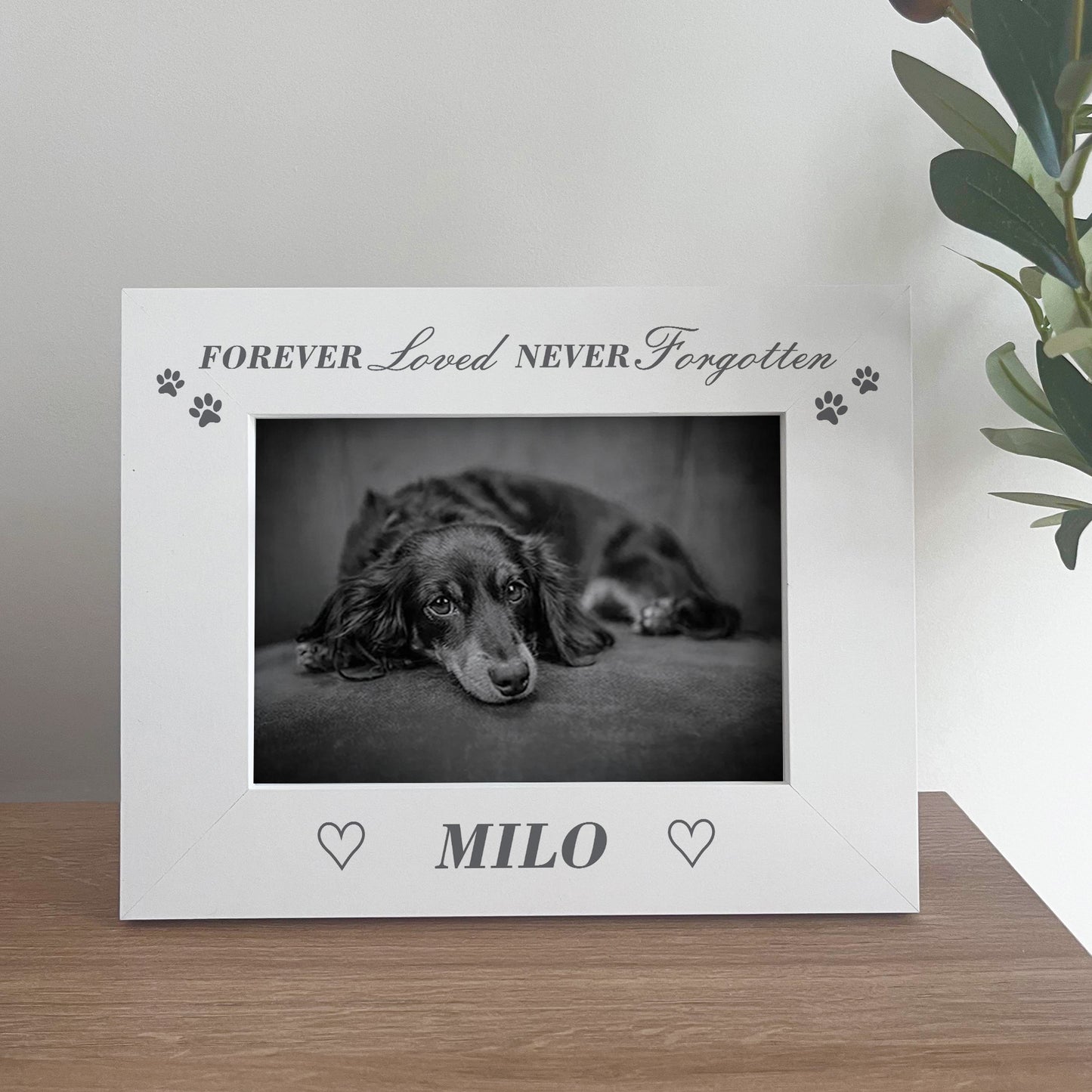 Personalised Memorial Photo Frame For Dog Pet In Memory Gift