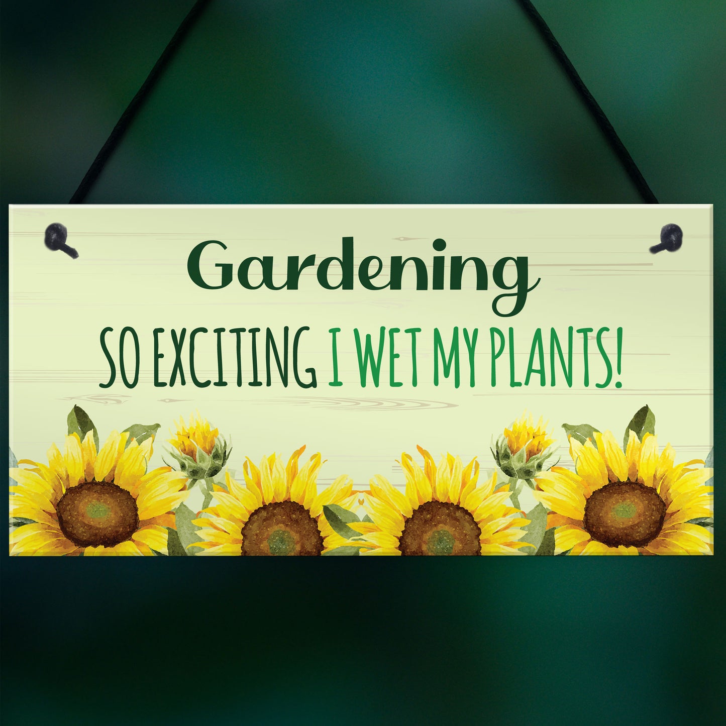 Garden Signs For Outdoor GARDEN PLAQUE FUNNY Summerhouse Sign