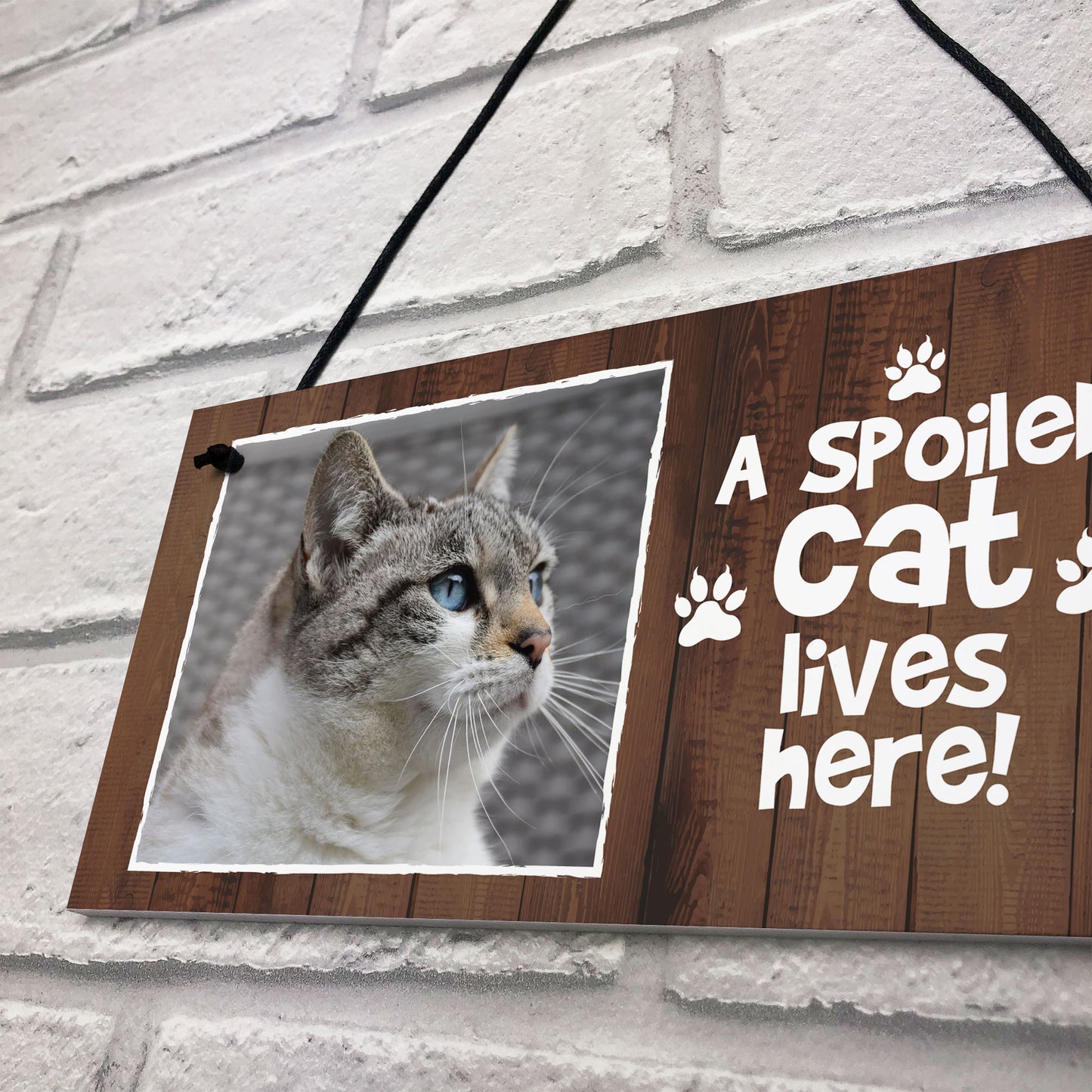 Funny Cat Sign Personalised Cat Signs SPOILED CAT LIVES HERE