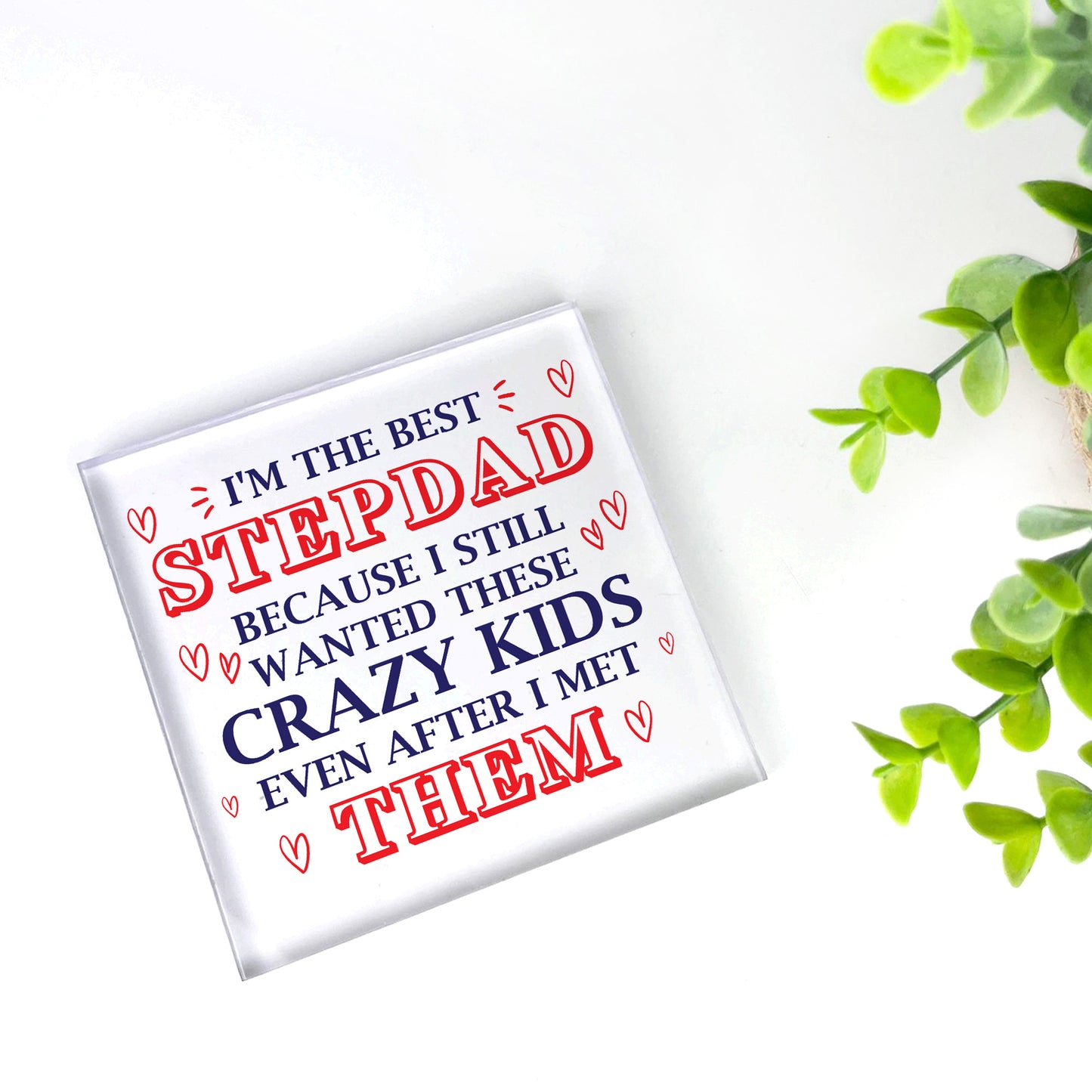 Funny Step Dad Fathers Day Gifts Joke Stepdad Birthday Gift