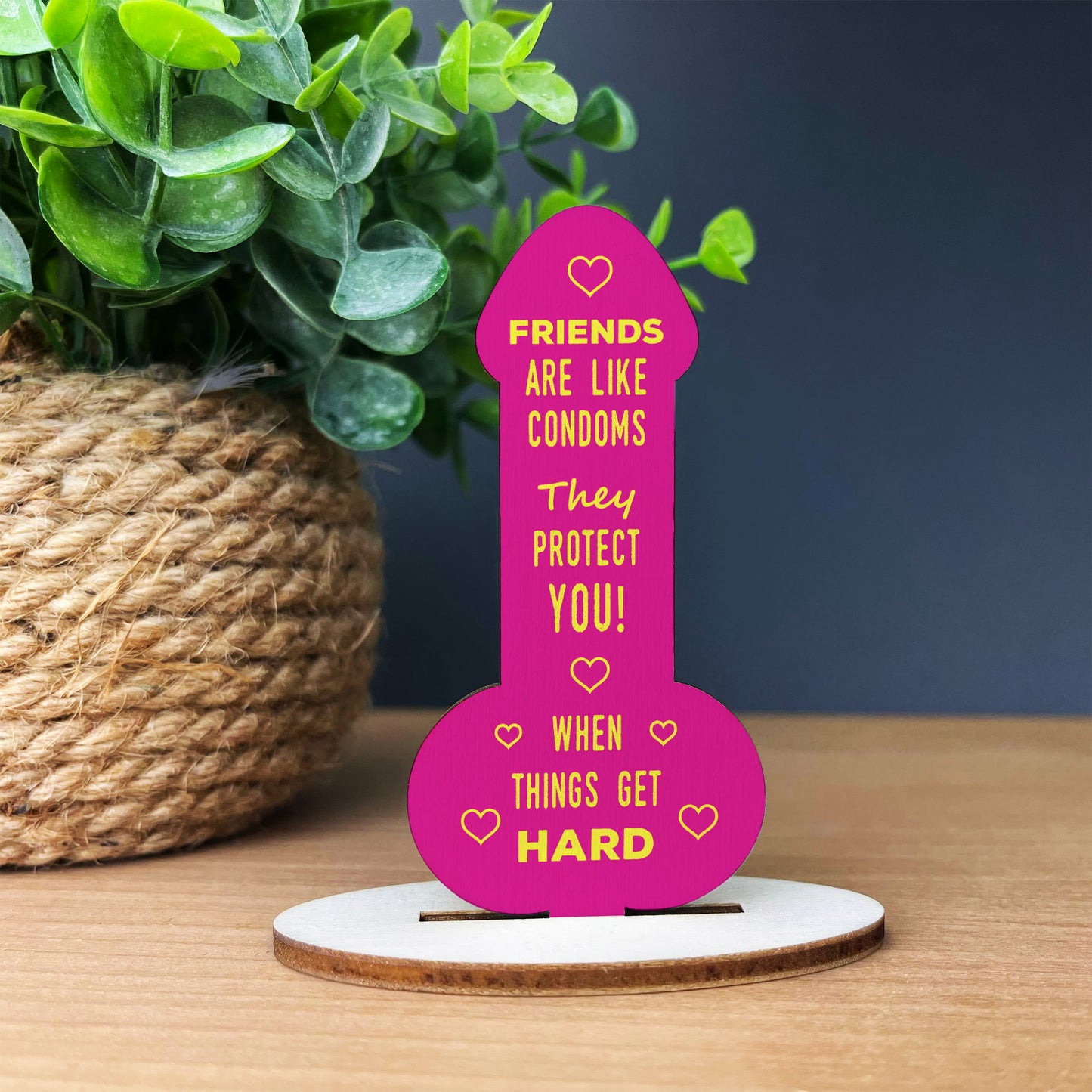 Funny Rude Friendship Plaque Novelty Gift For Best Friend Joke