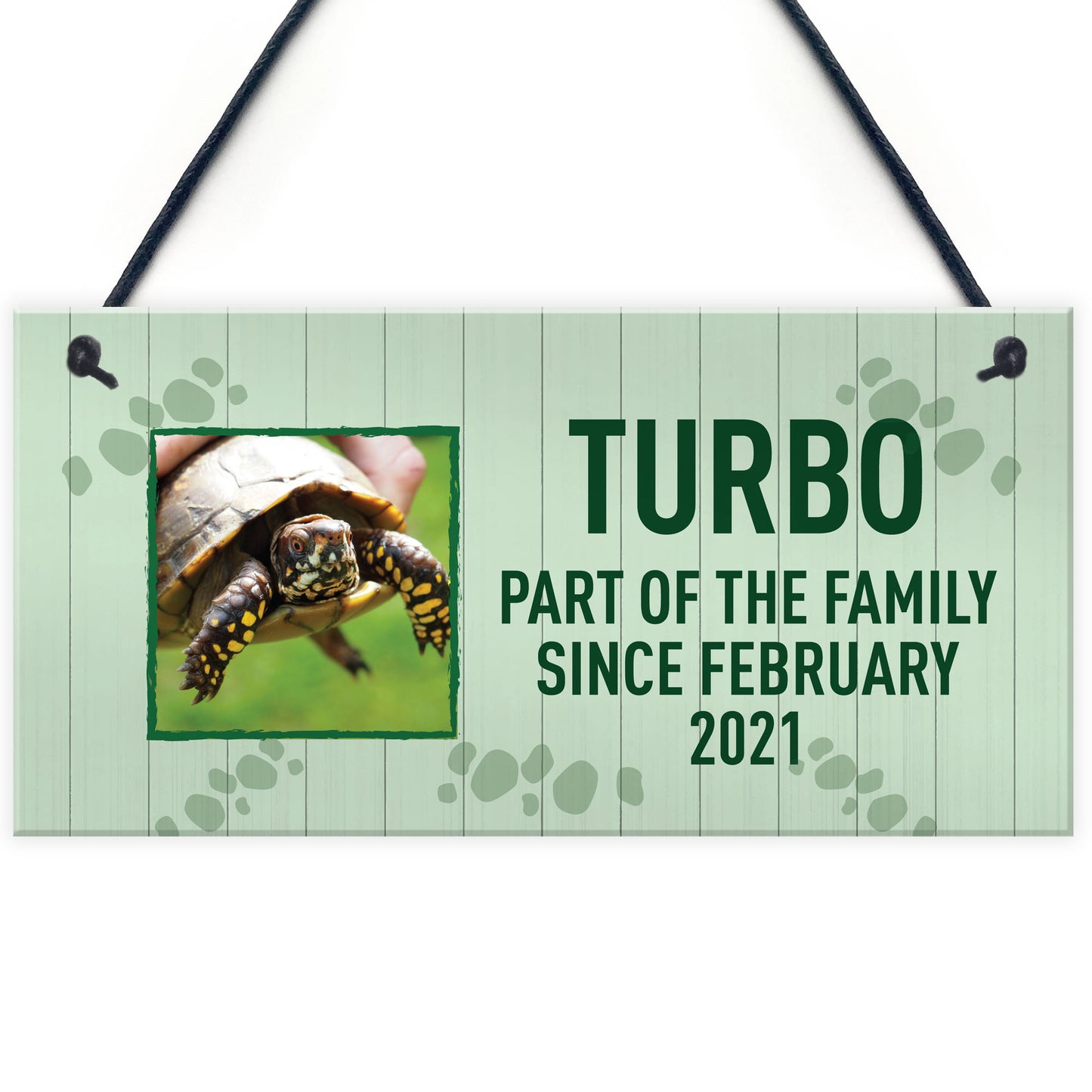 Personalised Turtle Sign For Home Pet Gift Turtle House Sign