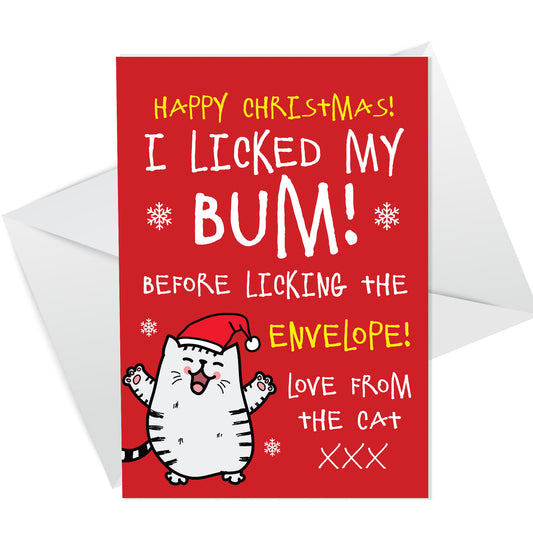 Funny Christmas Card From The Cat Rude Cheeky Card For Family