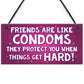 Friendship Plaque Funny Gift For Best Friend Birthday Christmas