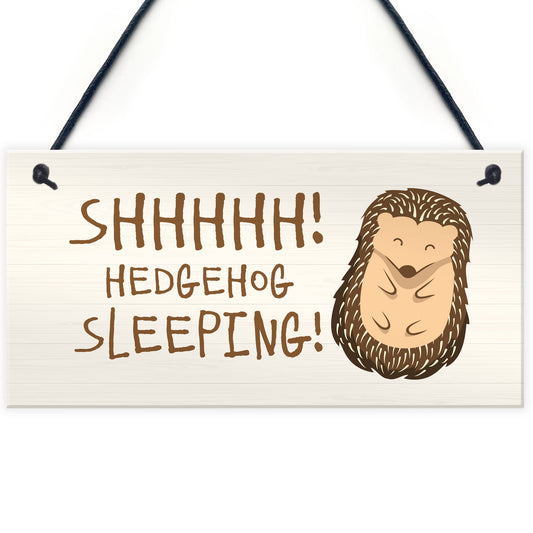 Funny Hedgehog Sign Garden Plaques Hedgehog Sleeping Outdoor