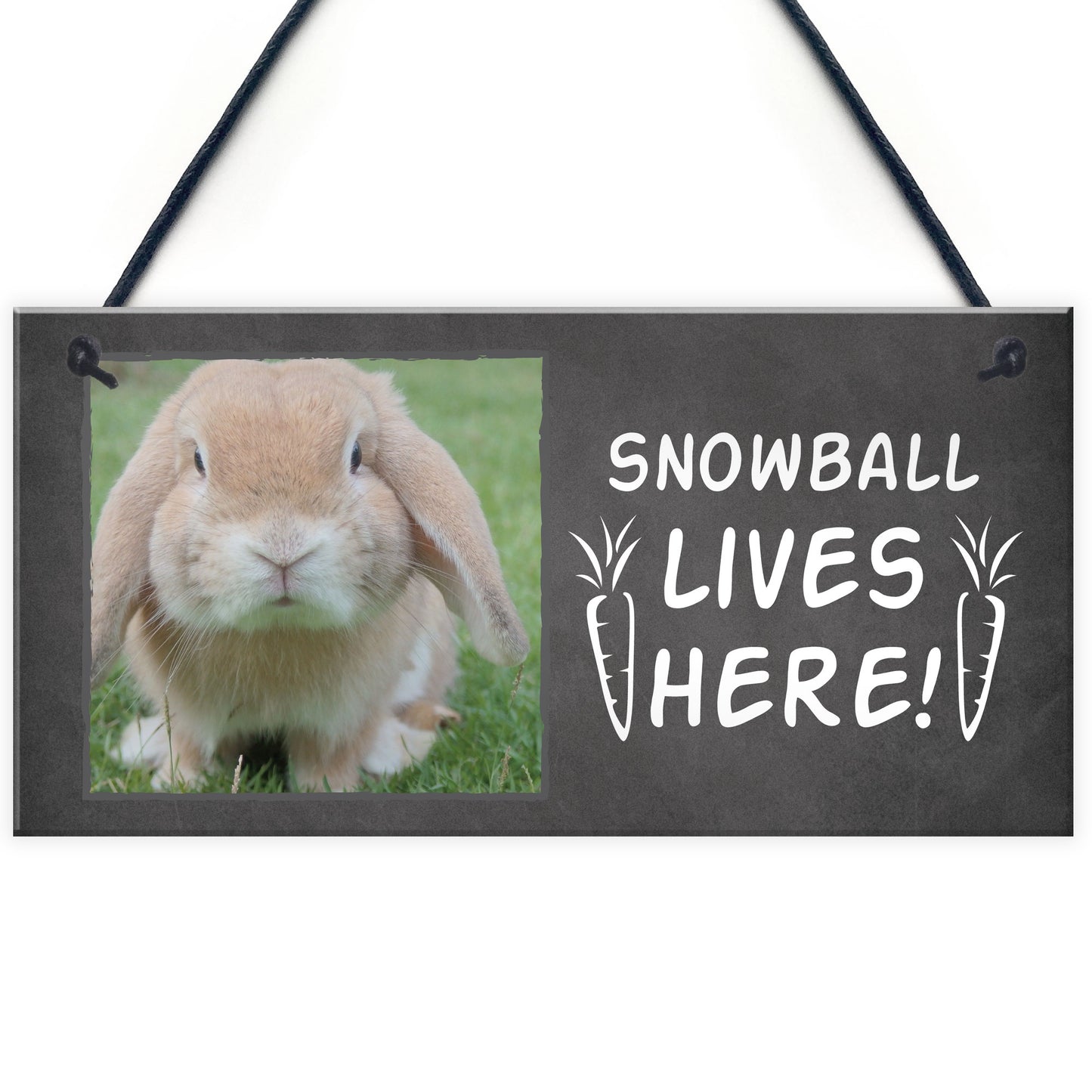 Novelty Sign For Rabbit PERSONALISED Bunny Sign Hutch Sign