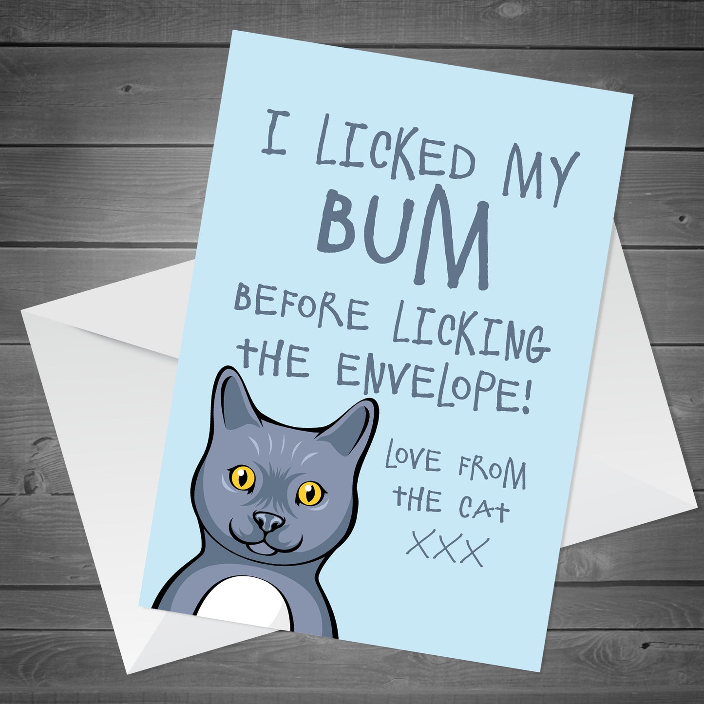 Funny Birthday Card From The Cat Pet Animal Cat Bum Rude Card