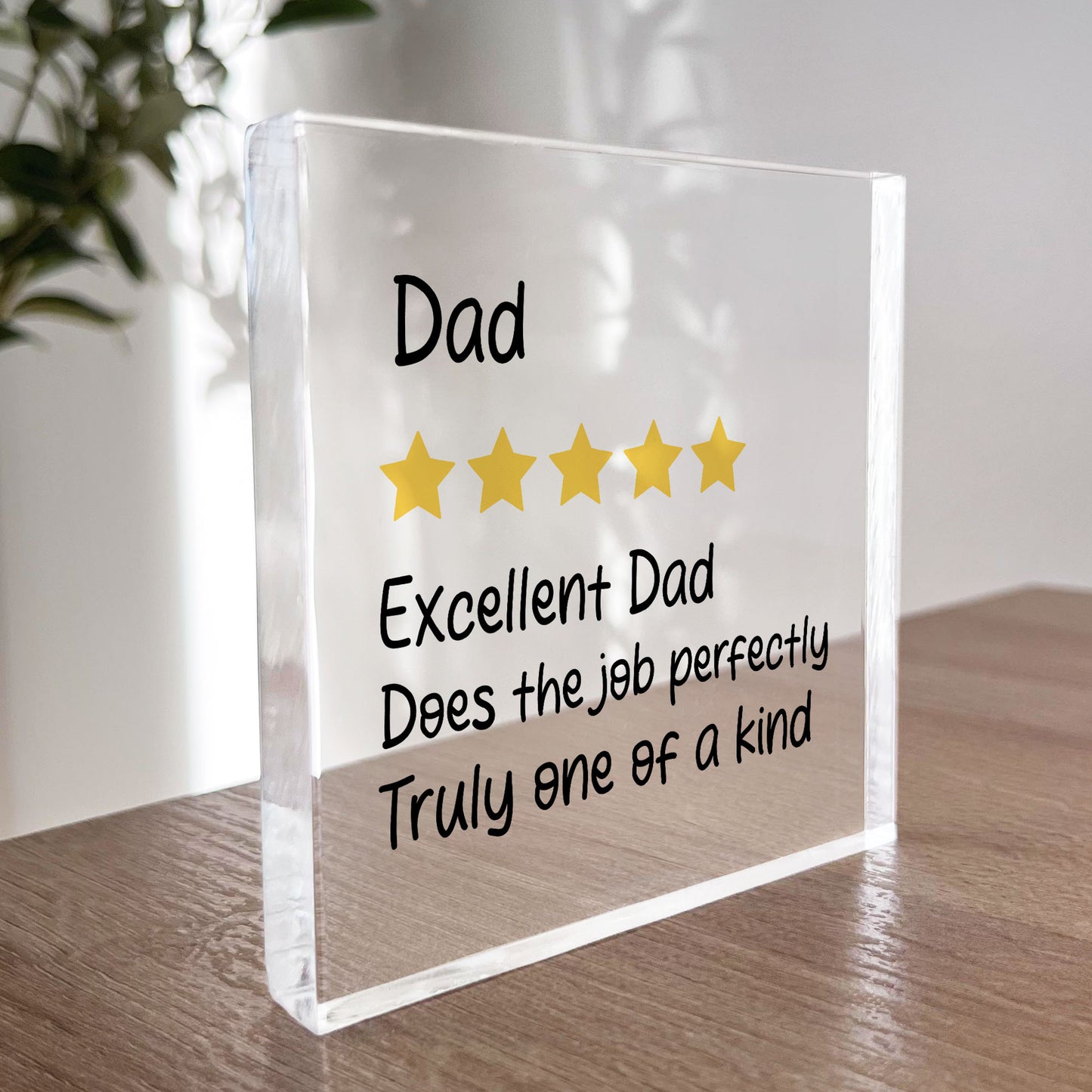 Funny Gift For Dad Birthday Christmas Fathers Day Gifts Dad Gift