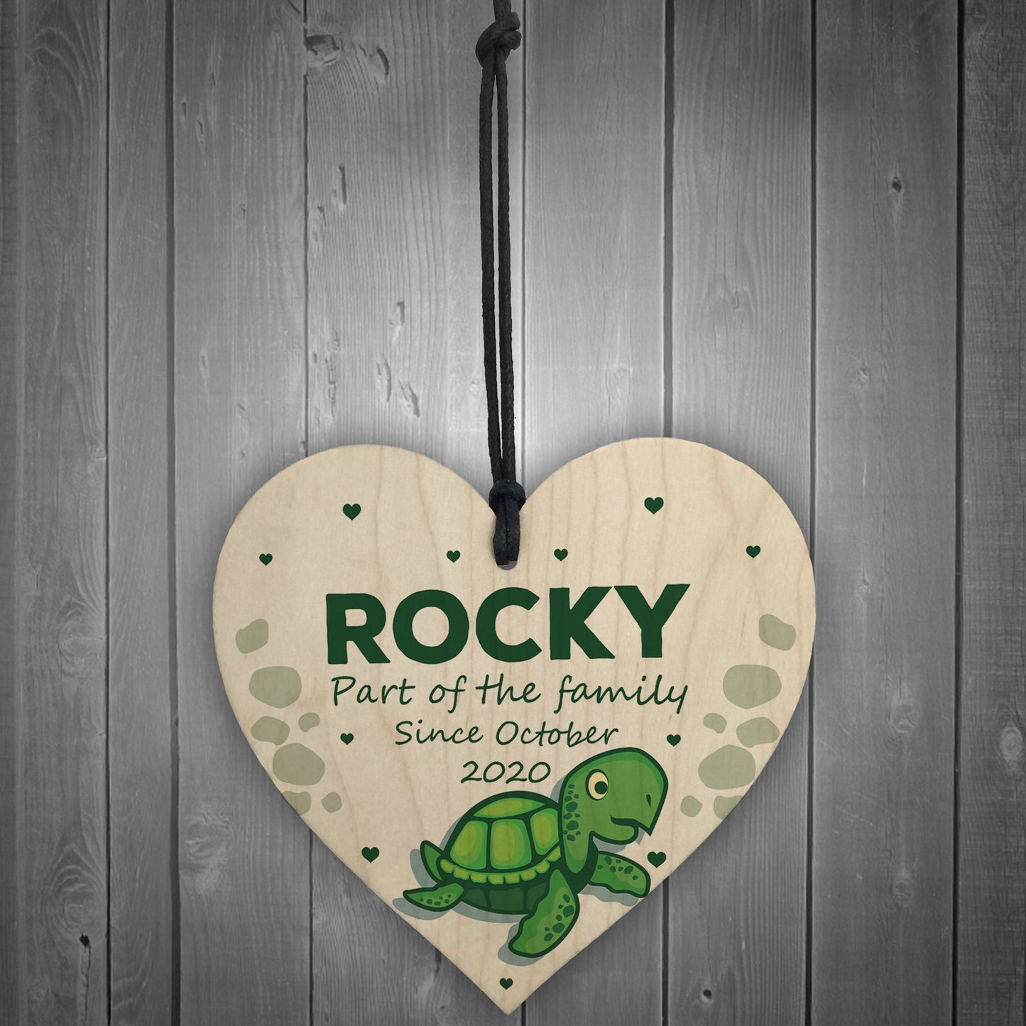 Personalised Turtle House Pet Gift For Turtle Tortoise Tank Sign