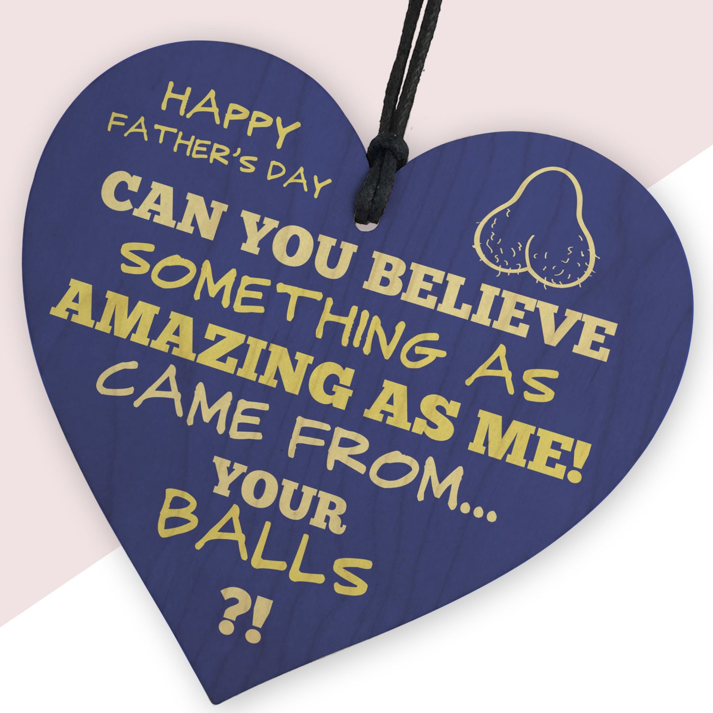 Hilarious Funny Fathers Day Gift For Dad Novelty Gift For Dad