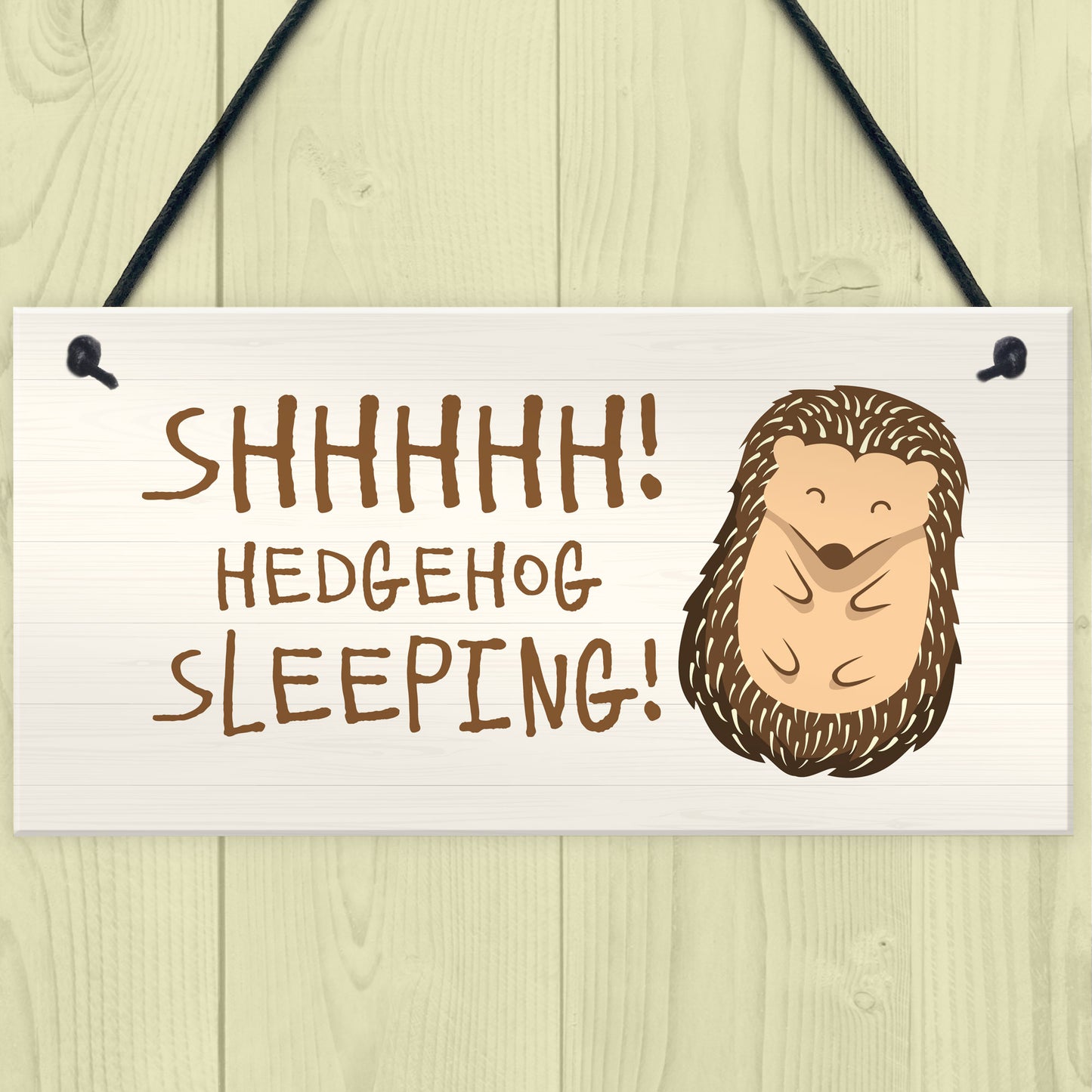 Funny Hedgehog Sign Garden Plaques Hedgehog Sleeping Outdoor