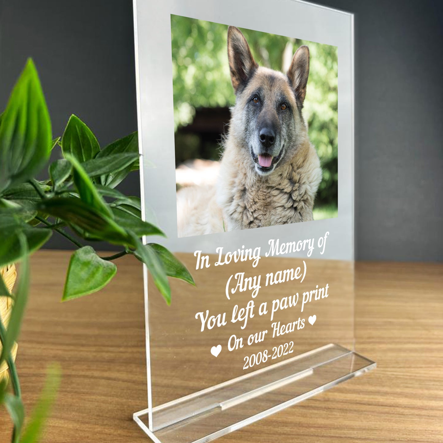 Personalised Memorial Gift Plaque For Dog Cat Pet Rememberance