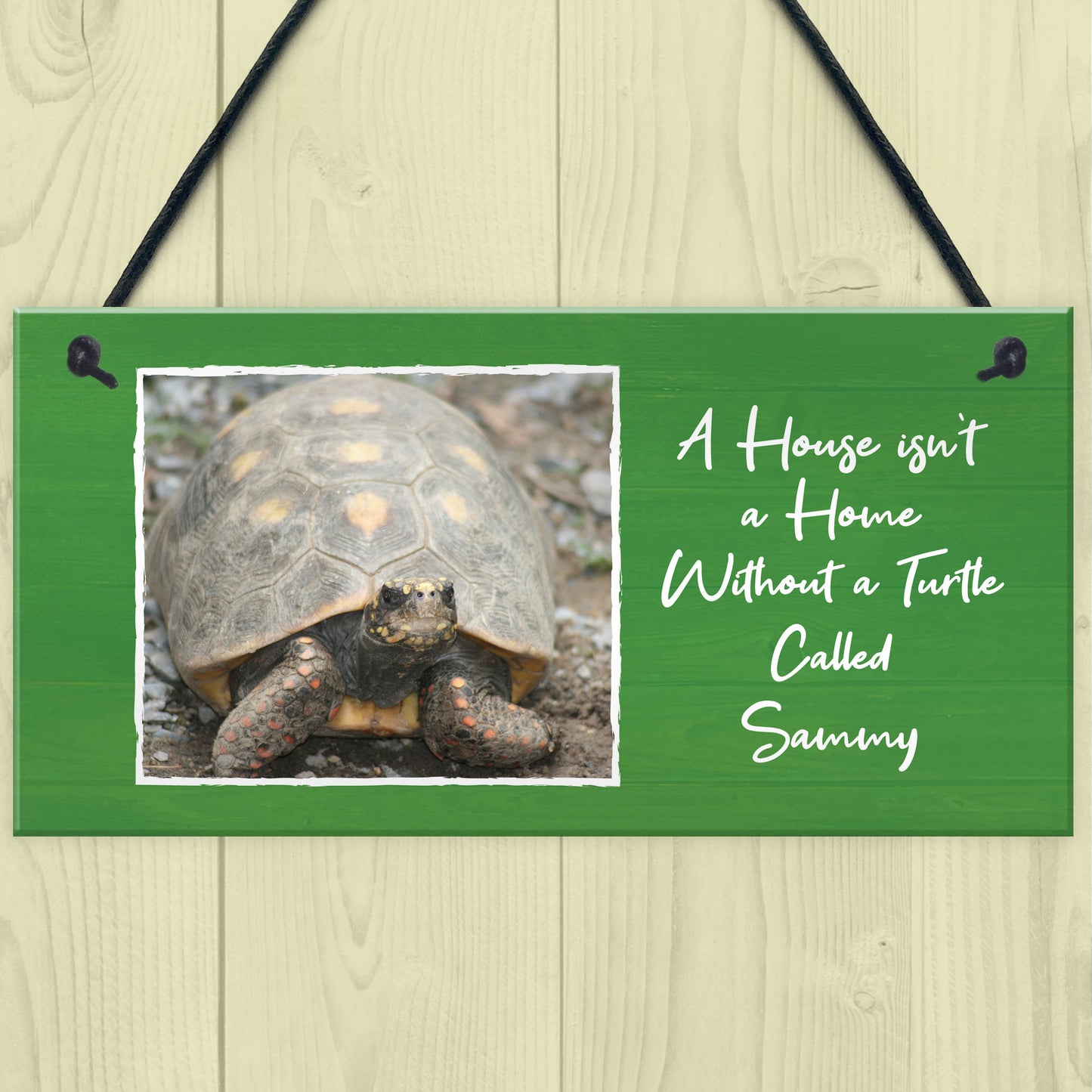 Novelty Turtle Tortoise Sign For Home Tank Hanging Personalised