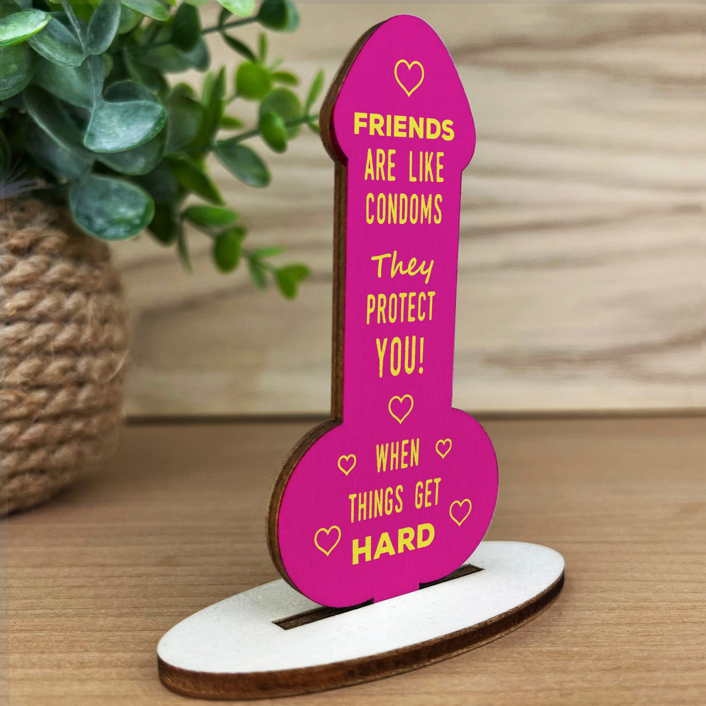 Funny Rude Friendship Plaque Novelty Gift For Best Friend Joke