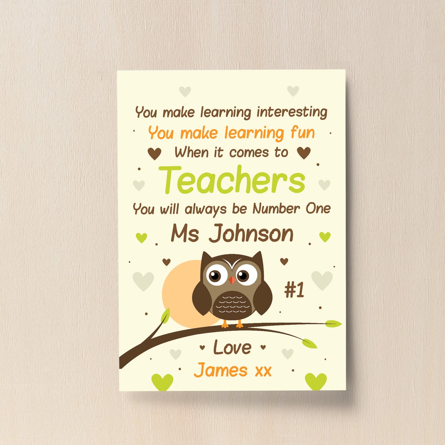 Personalised Thankyou Teacher Assistant Leaving School Owl Gift