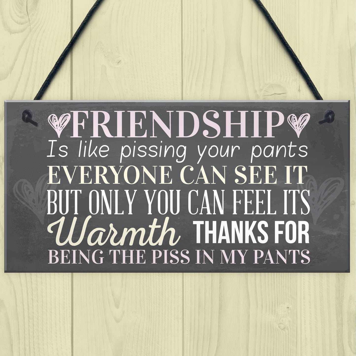 Best Friend Sign Friendship Gift Funny Thank You Hanging Plaque