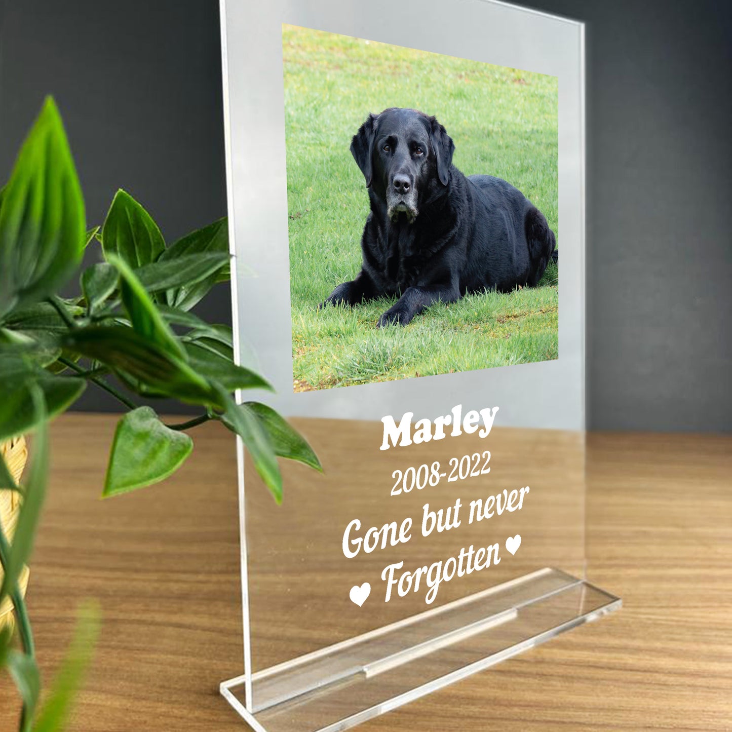 Personalised Dog Pet Memorial Acrylic Plaque For Dog Animal