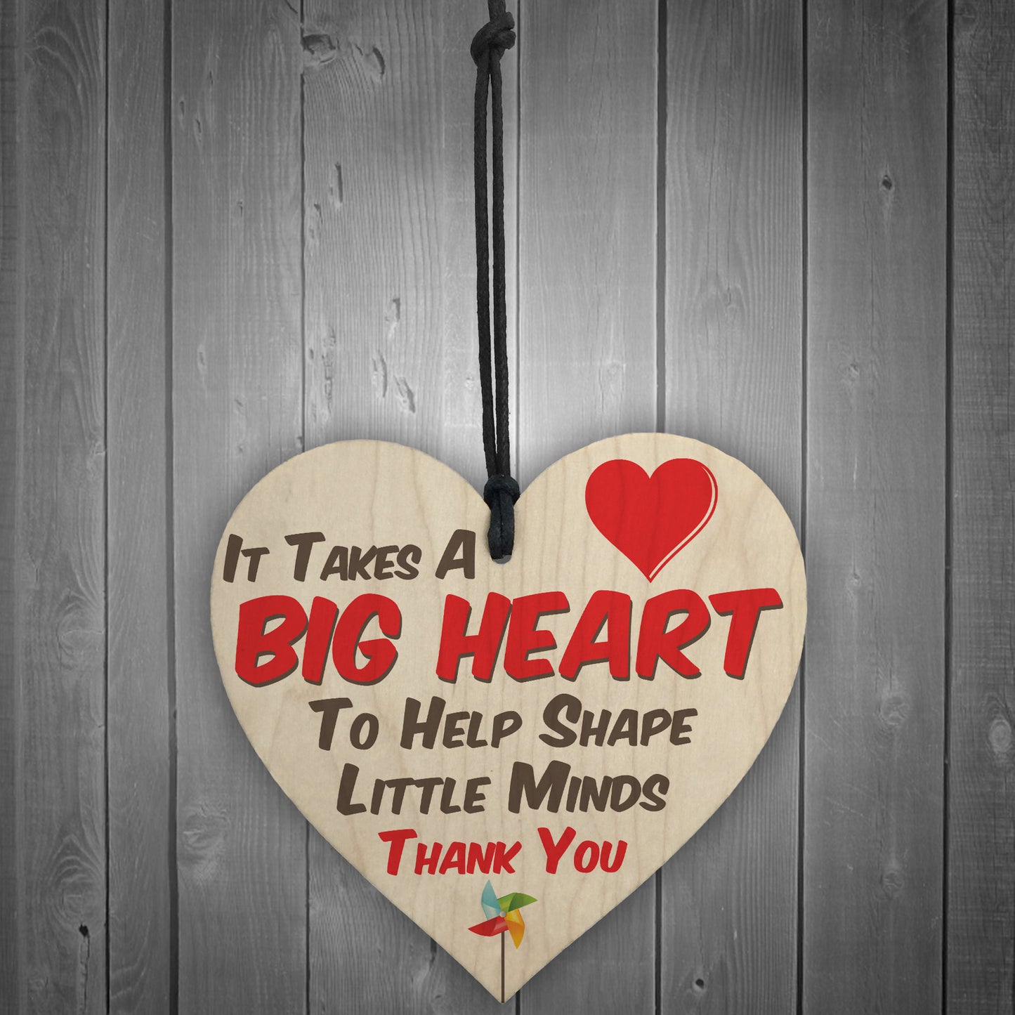 Big Heart Little Minds Thank You Teacher Gift Hanging Plaque