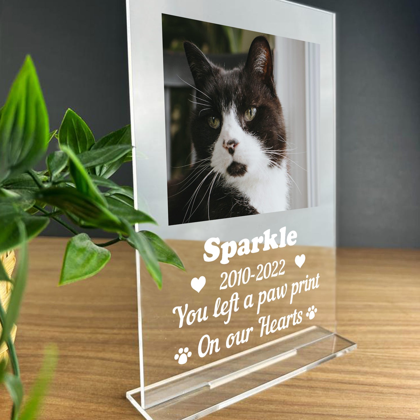 Personalised Cat Dog Memorial Standing Plaque Family Gift Pet