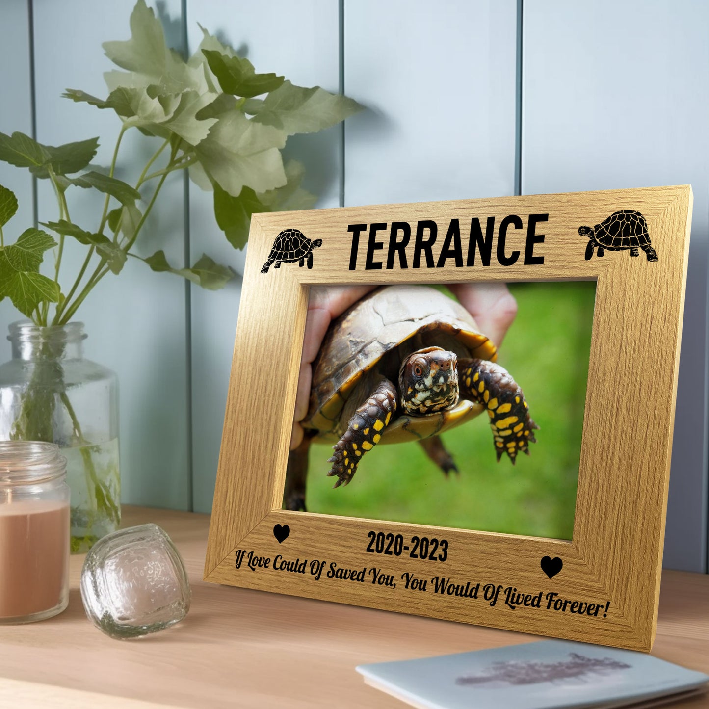 Personalised Tortoise Turtle Memorial Photo Frame Gift for Pet