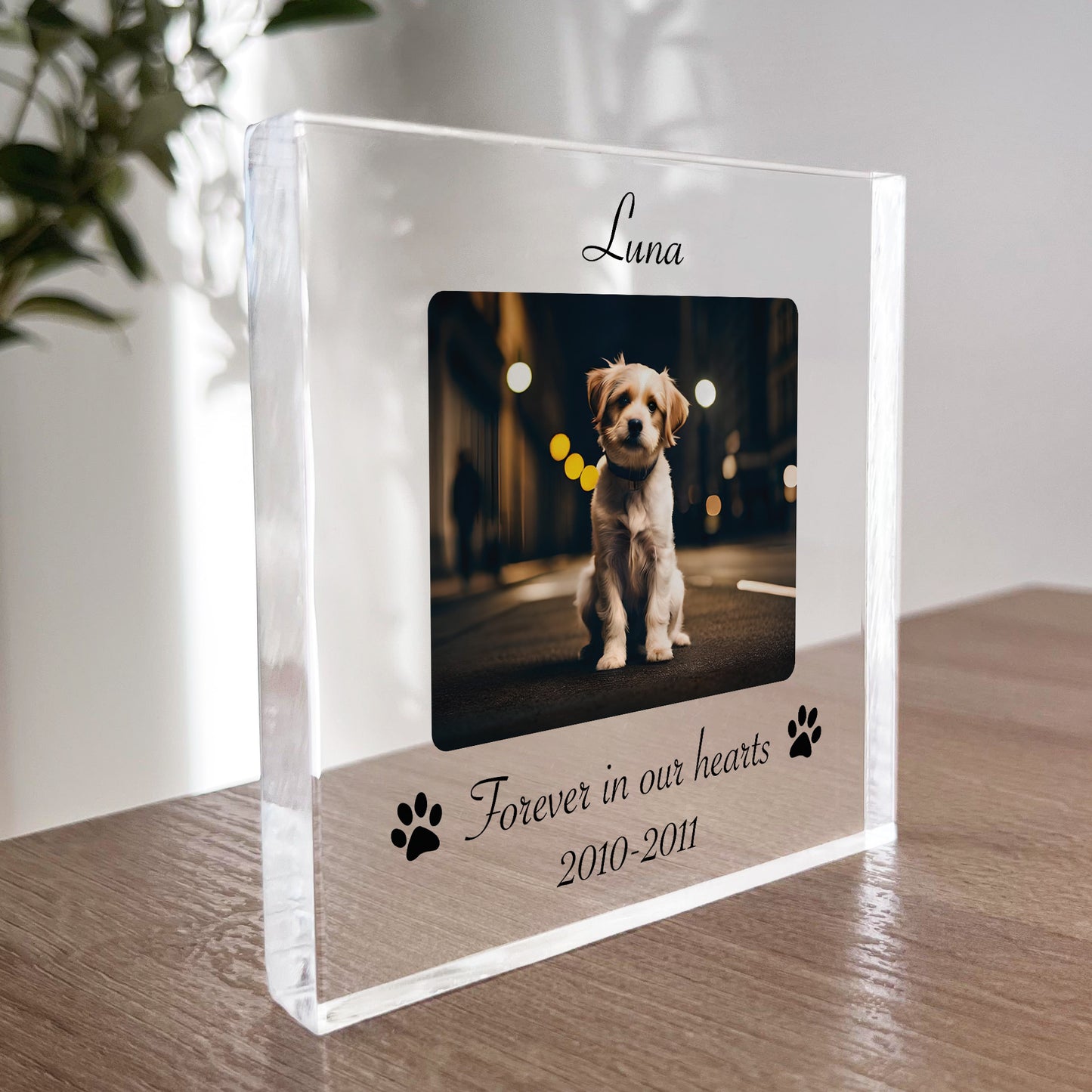 Personalised Memorial Sign For Dog Cat Pet In Memory Plaque