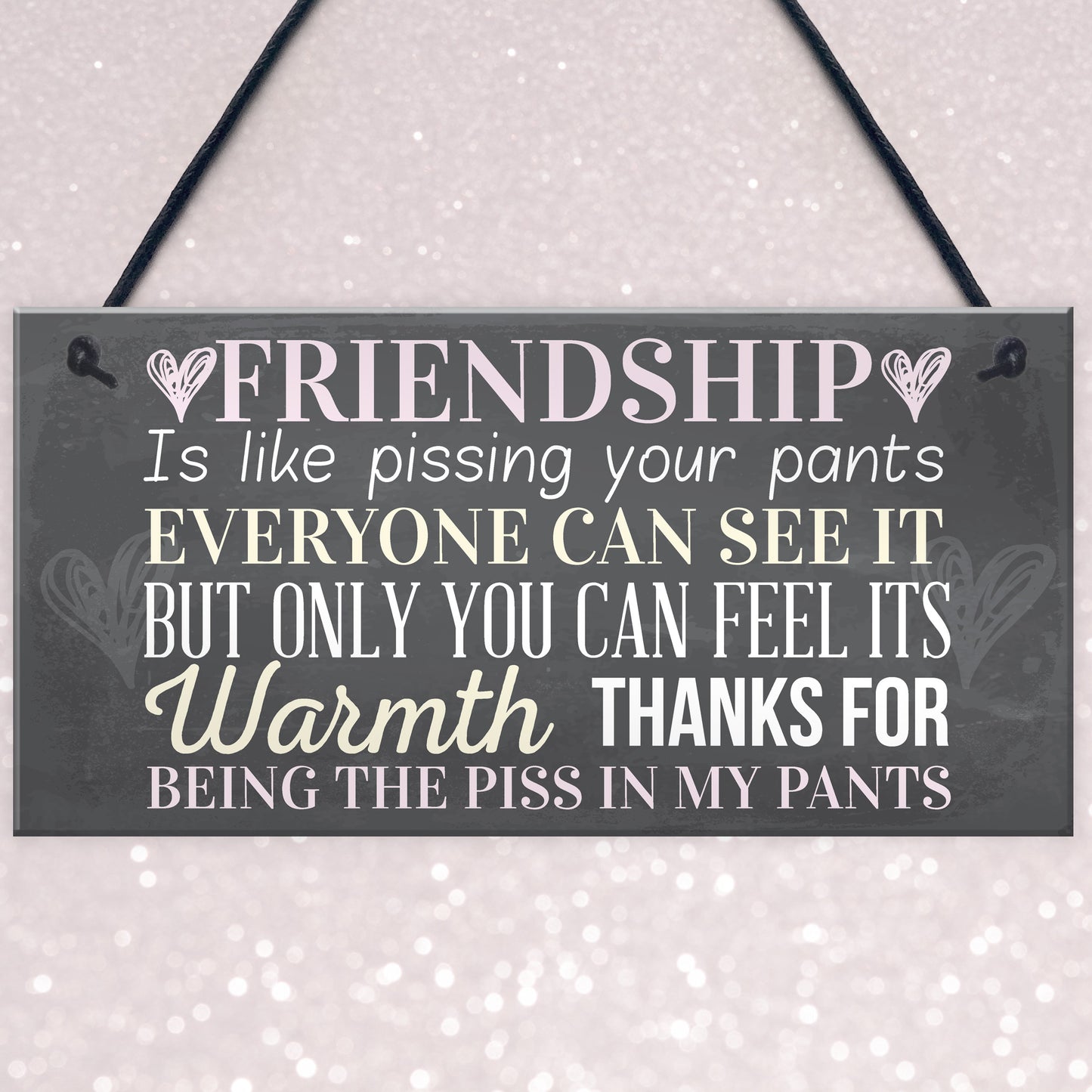 Best Friend Sign Friendship Gift Funny Thank You Hanging Plaque