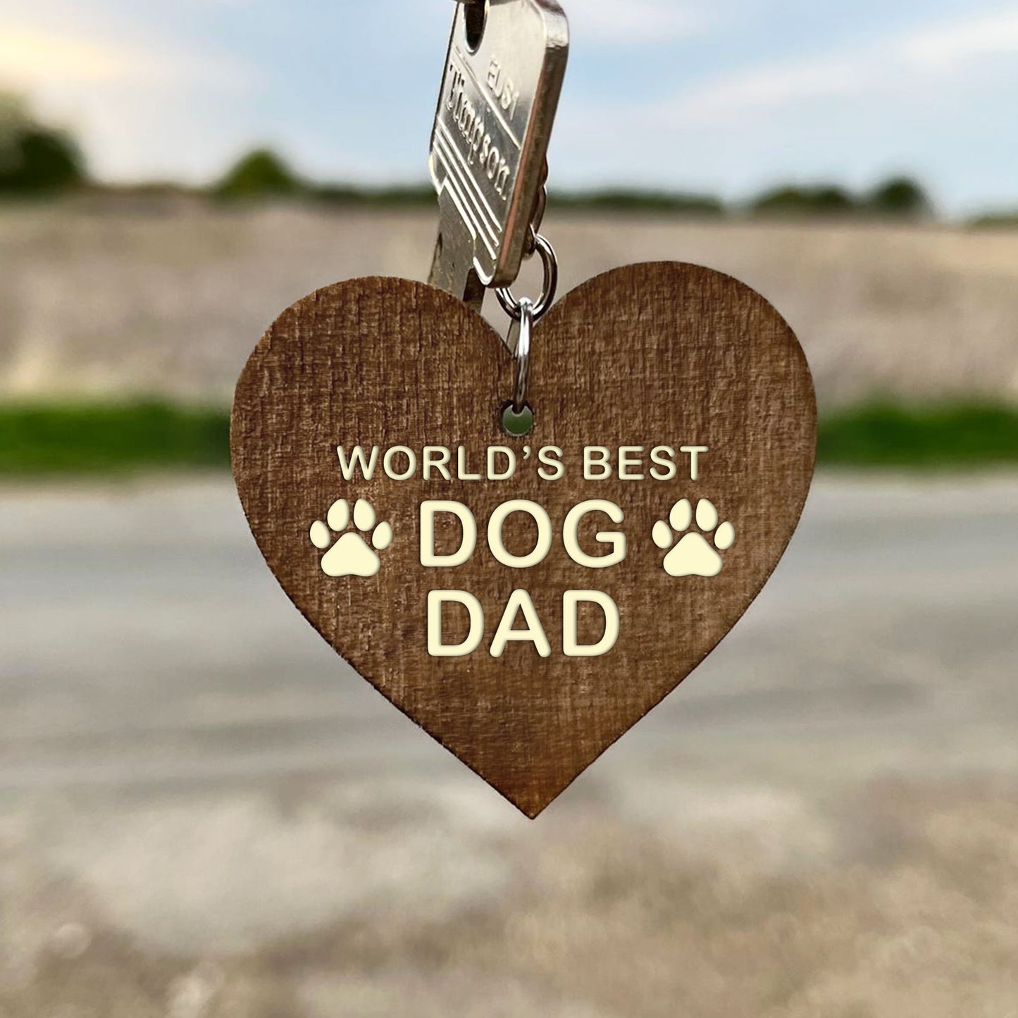 Funny BEST DOG DAD Gift Fathers Day Gift From The Dog Keyring