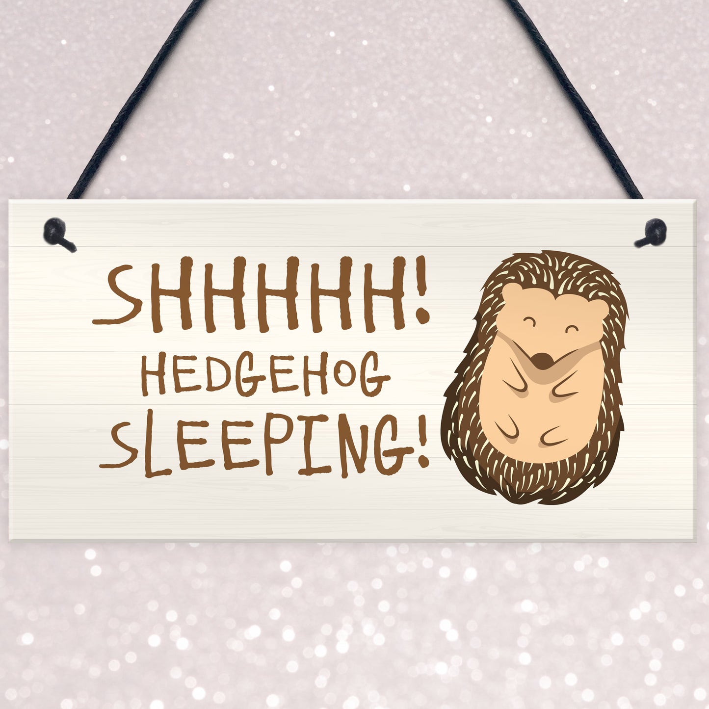 Funny Hedgehog Sign Garden Plaques Hedgehog Sleeping Outdoor