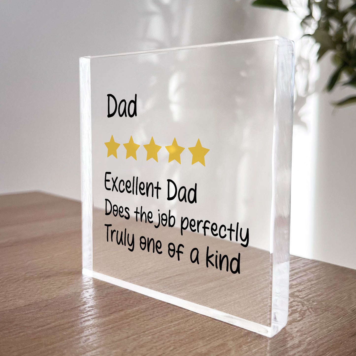 Funny Gift For Dad Birthday Christmas Fathers Day Gifts Dad Gift