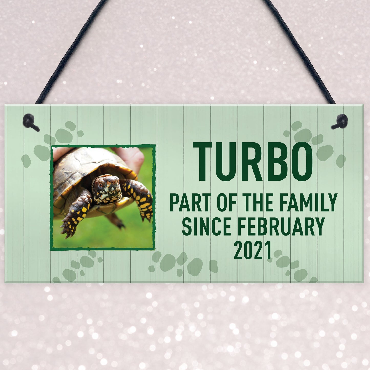 Personalised Turtle Sign For Home Pet Gift Turtle House Sign