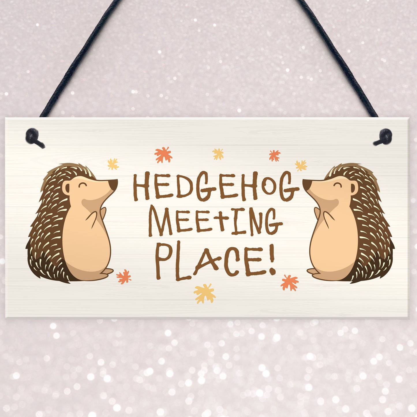 Funny Garden Sign Hedgehog Plaque MEETING PLACE Home Decor