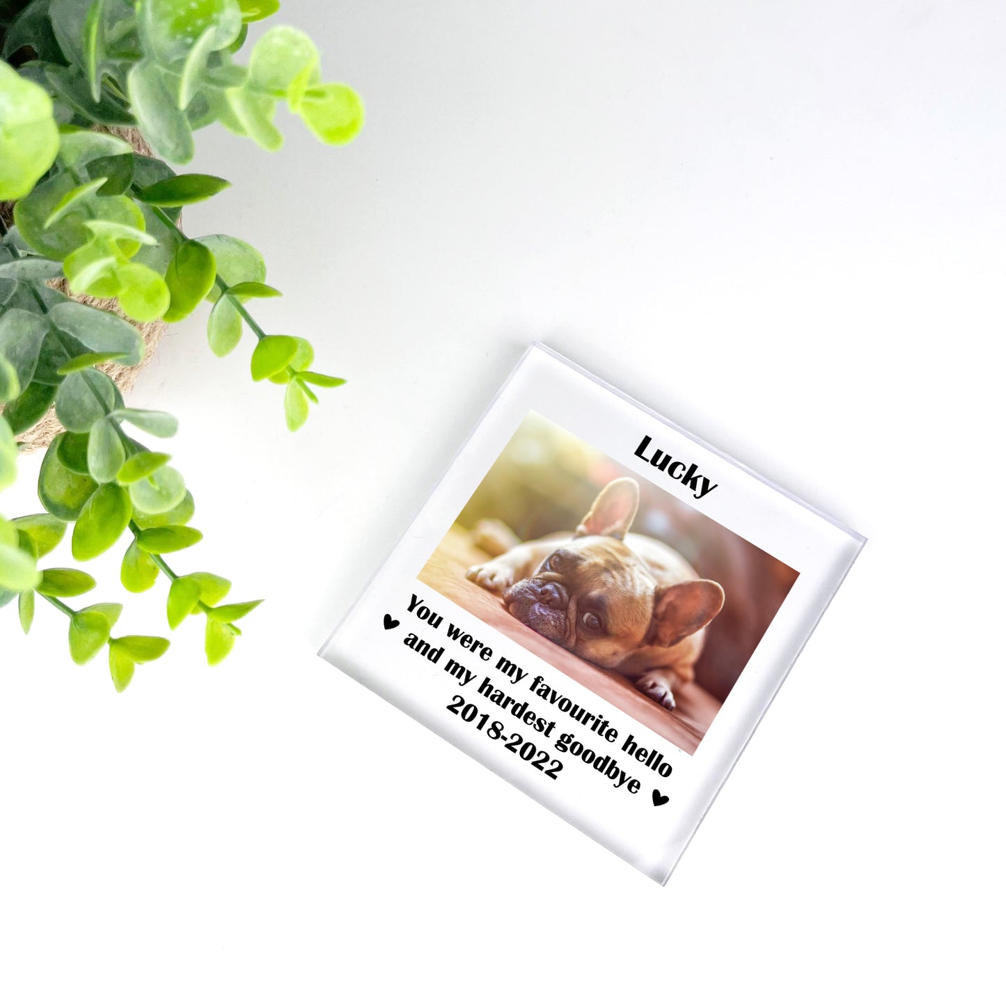 Personalised Pet Photo Block Gift Dog Puppy Memorial Gift