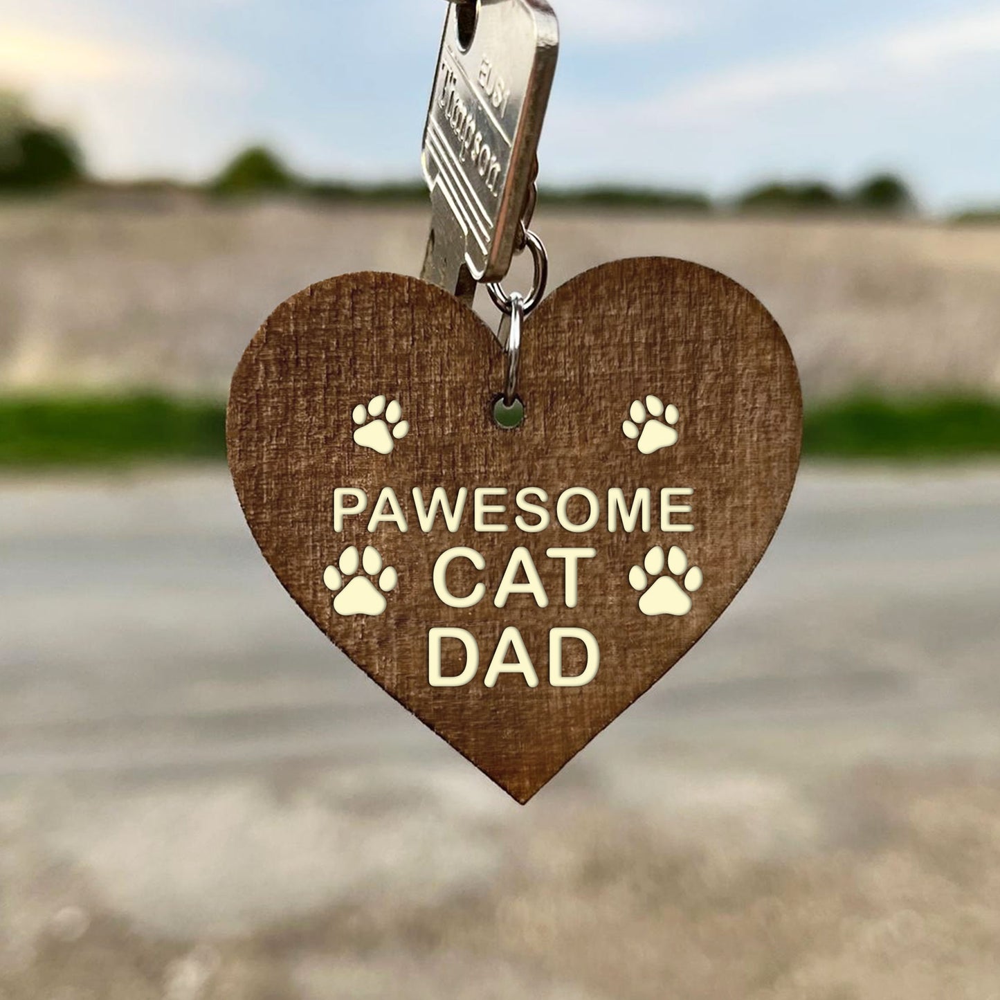 Funny Birthday Fathers Day Gift From Cat Engraved Keyring