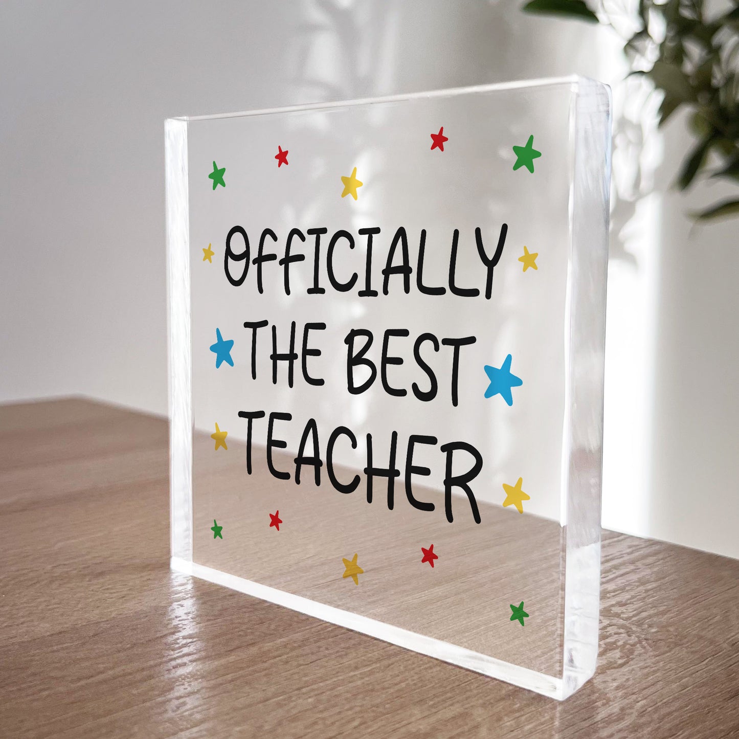 Teacher Gifts From Student BEST TEACHER Plaque Thank You Gifts