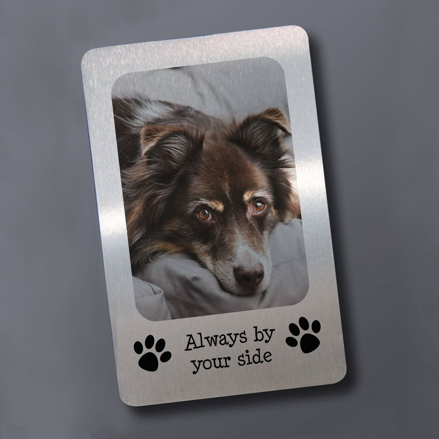 Pet Memorial Gift For Dog Cat Personalised Wallet Card Gift