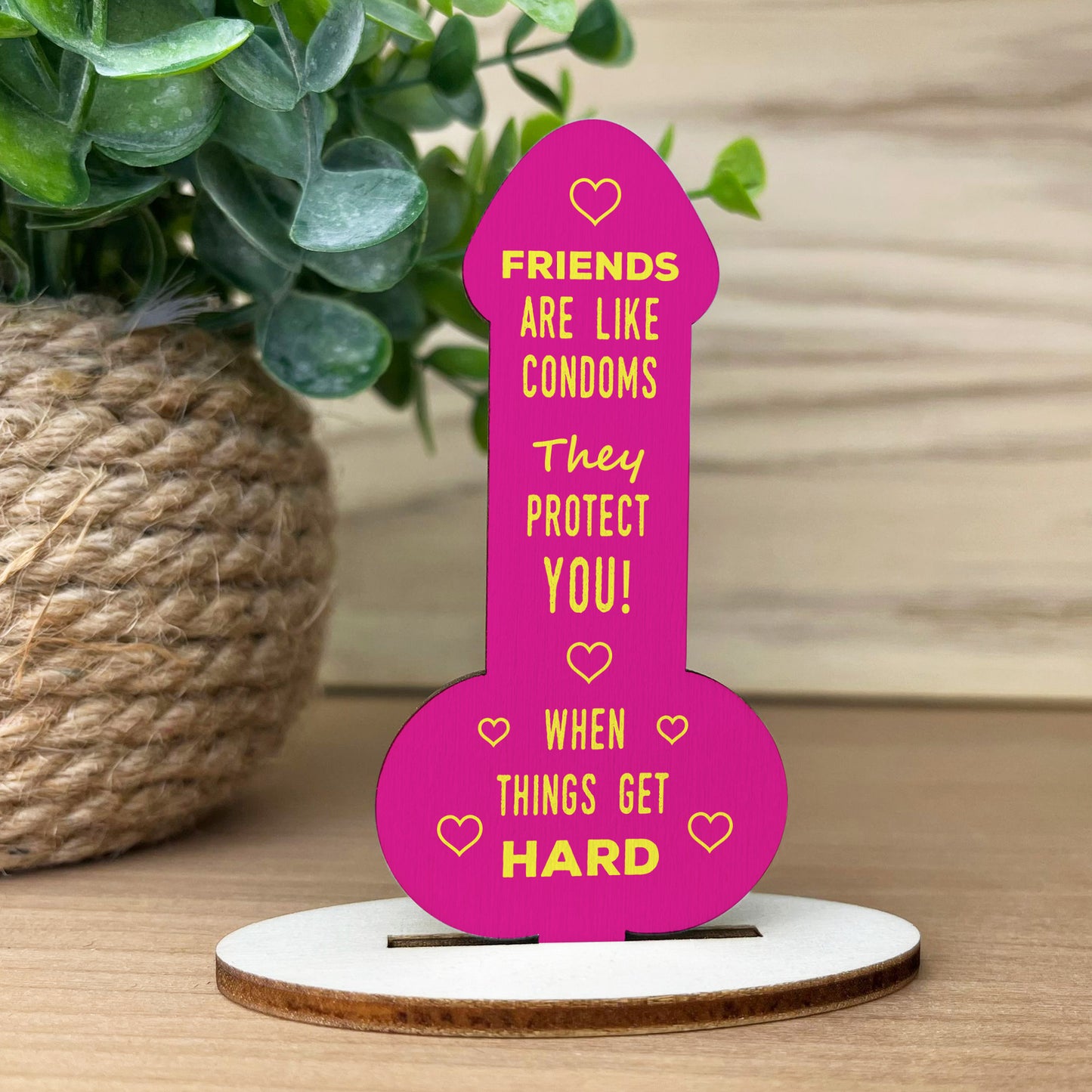 Funny Rude Friendship Plaque Novelty Gift For Best Friend Joke