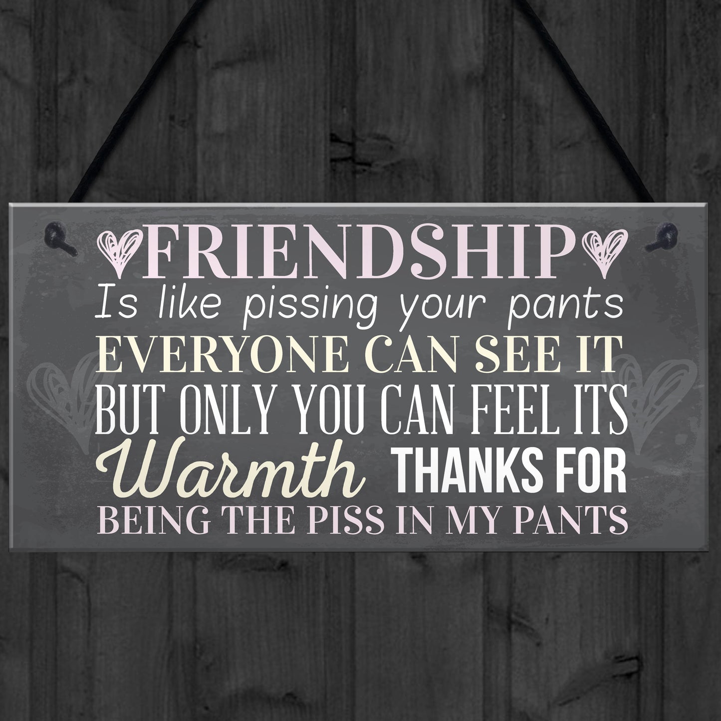 Best Friend Sign Friendship Gift Funny Thank You Hanging Plaque