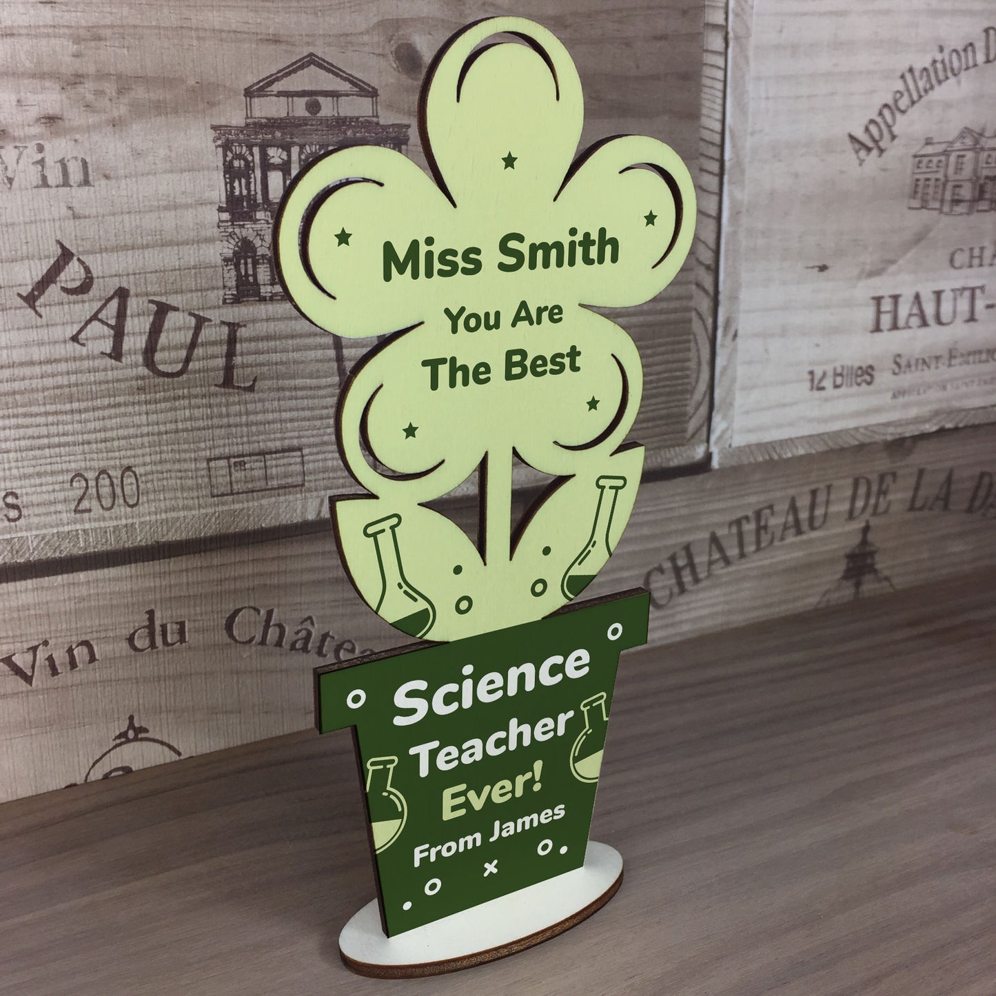 Science Teacher Gifts Wooden Plaque Thank You School Nursery