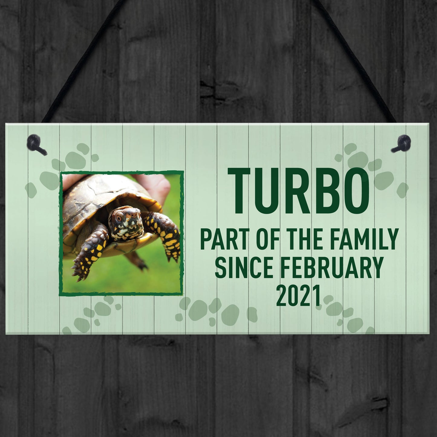 Personalised Turtle Sign For Home Pet Gift Turtle House Sign