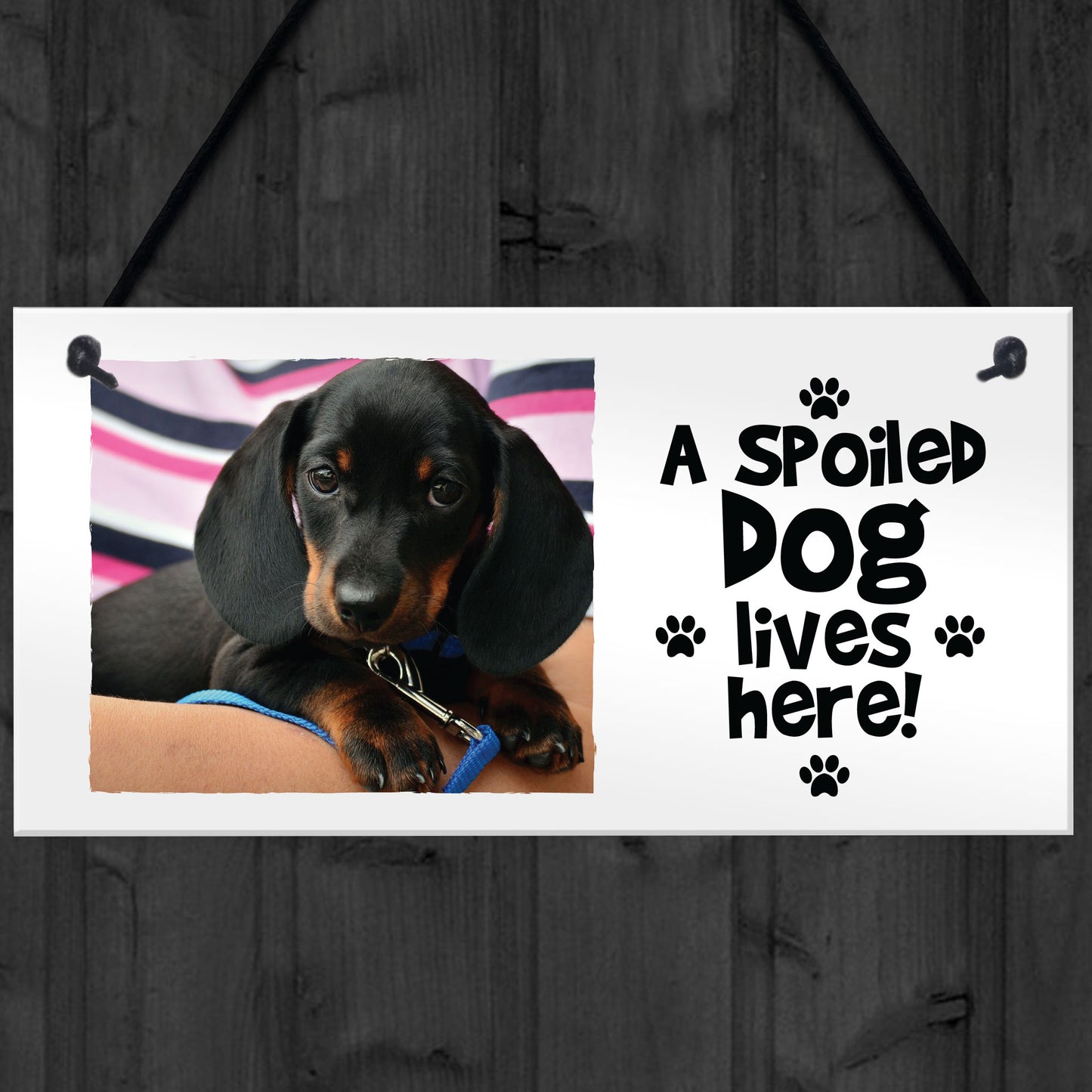 Personalised Dog Wall Plaque Novelty Dog Accessories Pet Gifts