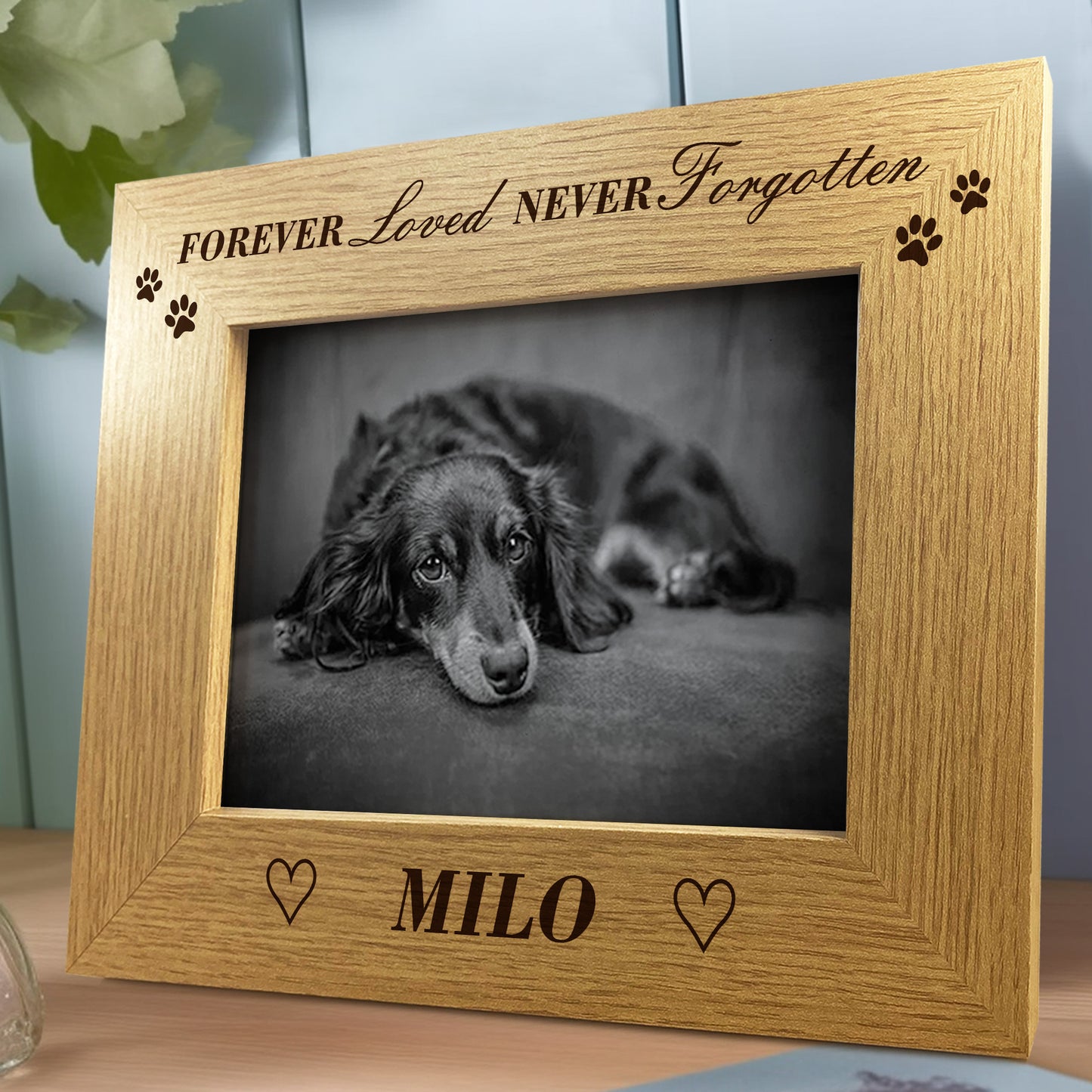 Never Forgotten Pet Memorial Photo Frame Personalised Memorial