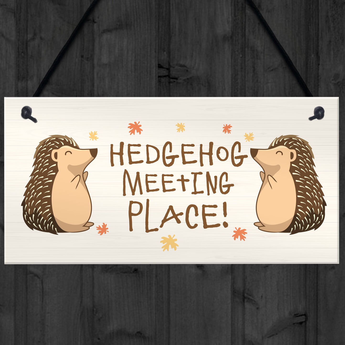 Funny Garden Sign Hedgehog Plaque MEETING PLACE Home Decor